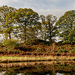 Elterwater Reflection