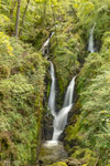 Stockghyll Force