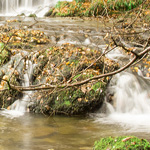 Old Wier Stockghyll