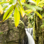 Stanley Ghyll Force