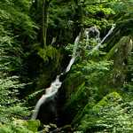 Stockghyll Force